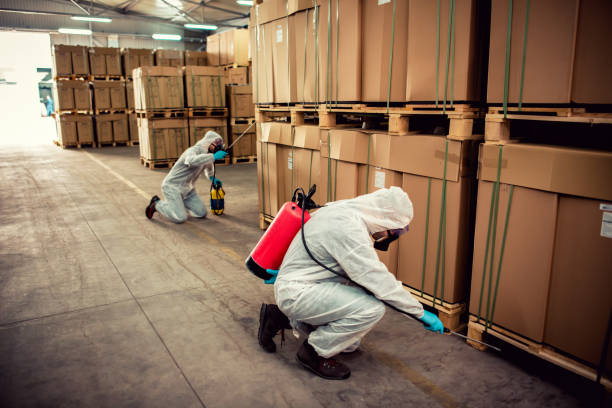 Best Wasp Removal Services  in Cuero, TX