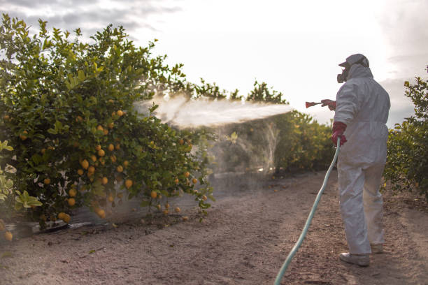 Trusted Cuero, TX Pest Control Experts