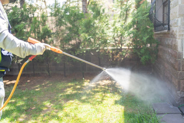 Best Local Pest Control Services  in Cuero, TX