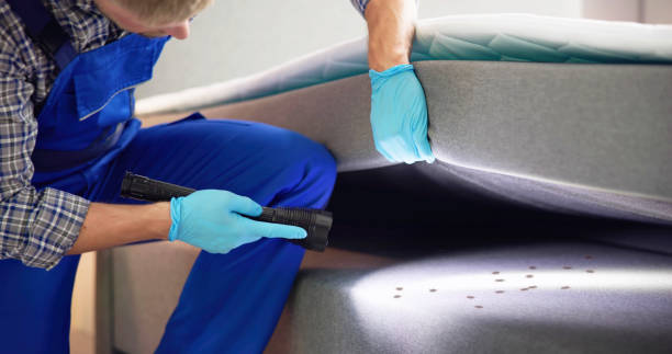 Best Pest Prevention Services  in Cuero, TX