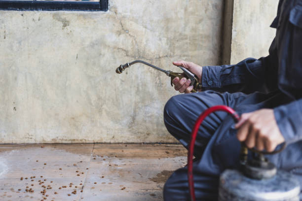 Best Emergency Pest Control  in Cuero, TX